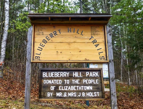 Blueberry Hill Trails